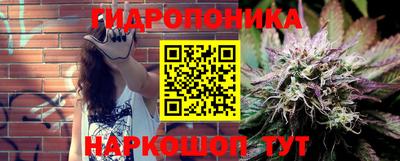 молекула духа Можайск