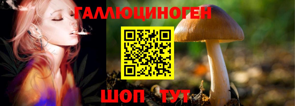 Улан-Удэ  что такое наркотик  Вход с VPN  Псилоцибиновые грибы MAGIC MUSHROOMS 